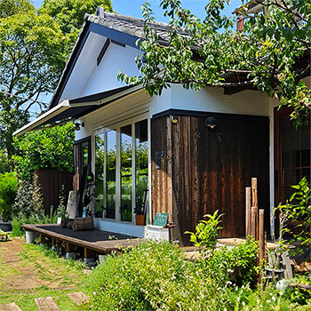 Sun Catcher OISO