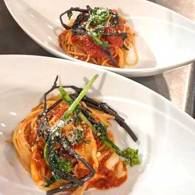 Lunch Pasta ランチ パスタ SunCatcher サンキャッチャー